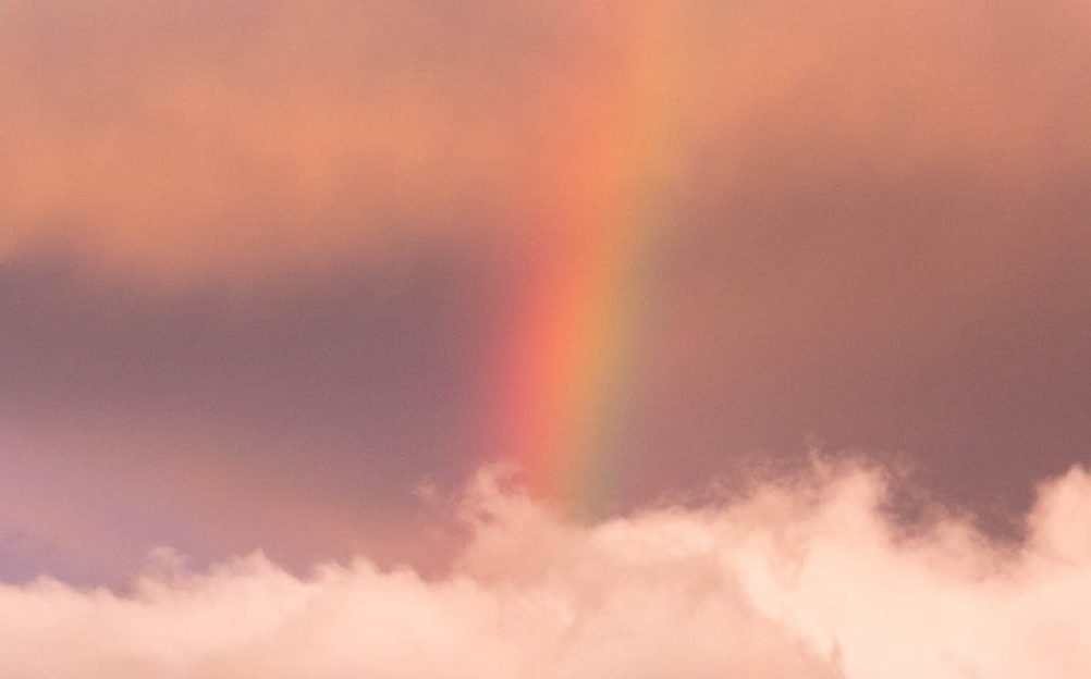 Rachel L Greenberg, LMHC Healing & Wellness